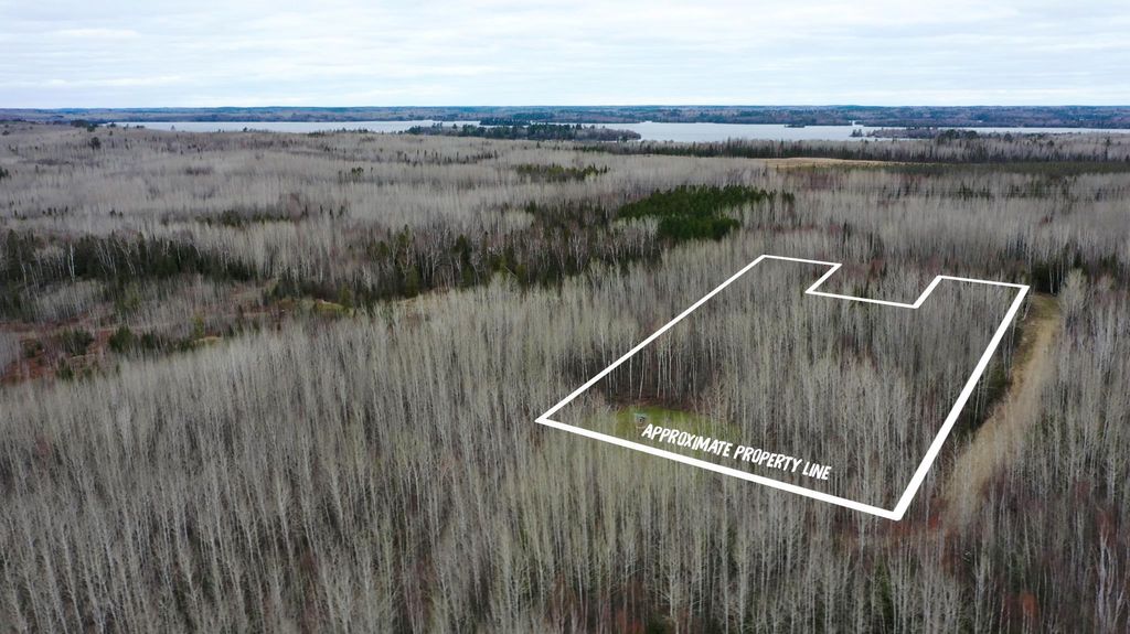 Photo of TBD Parcel 20 Hwy 115, Tower, MN 55790 (MLS # 7070237)