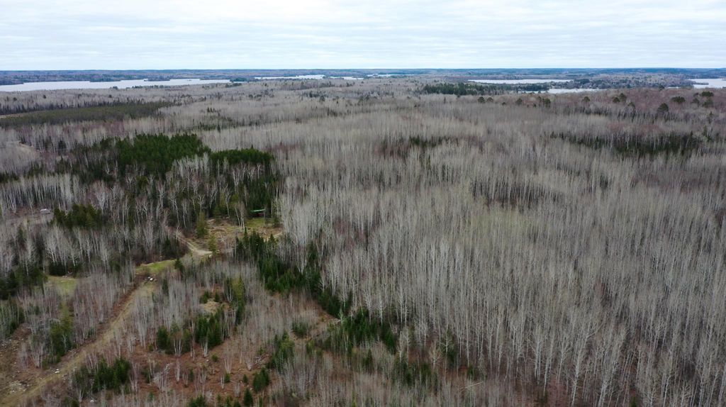 Photo of TBD Parcel 20 Hwy 115, Tower, MN 55790 (MLS # 7070237)