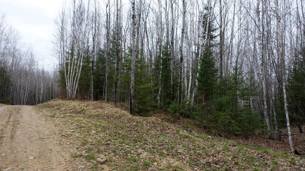 Photo of TBD Parcel 20 Hwy 115, Tower, MN 55790 (MLS # 7070237)
