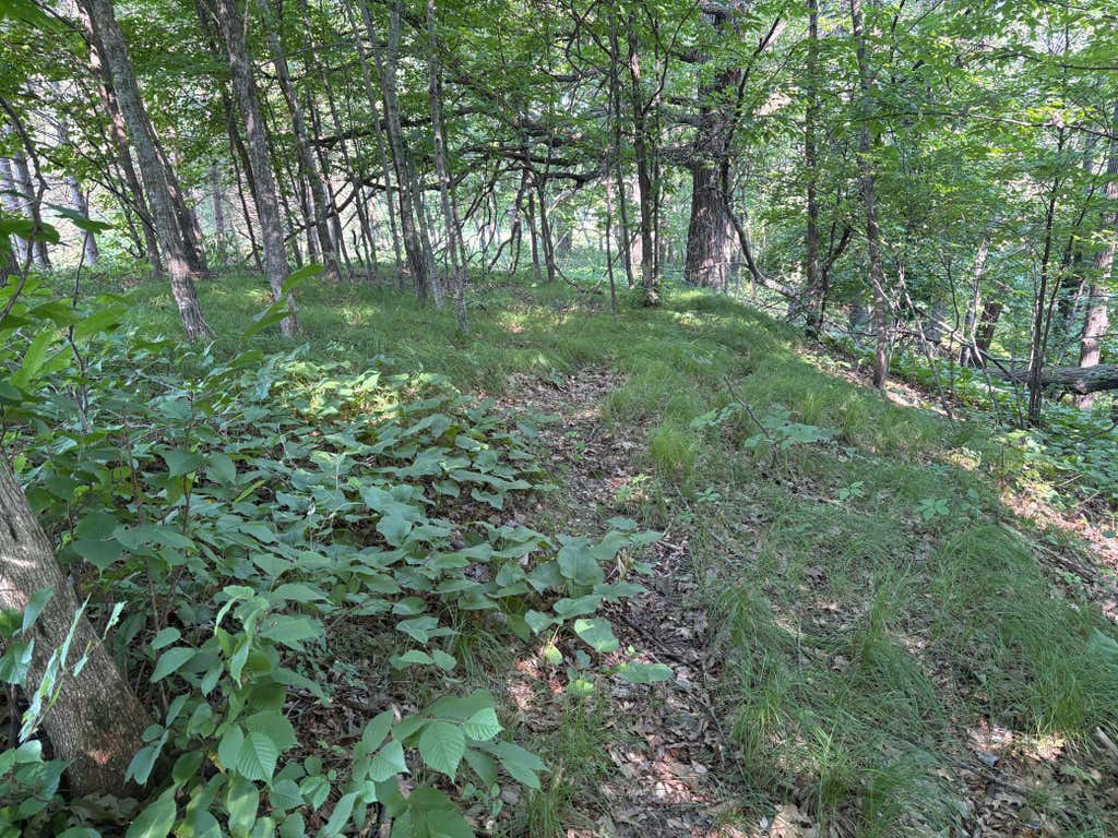 Photo of 320th 320th Street, Browerville, MN 56438 (MLS # 7111992)