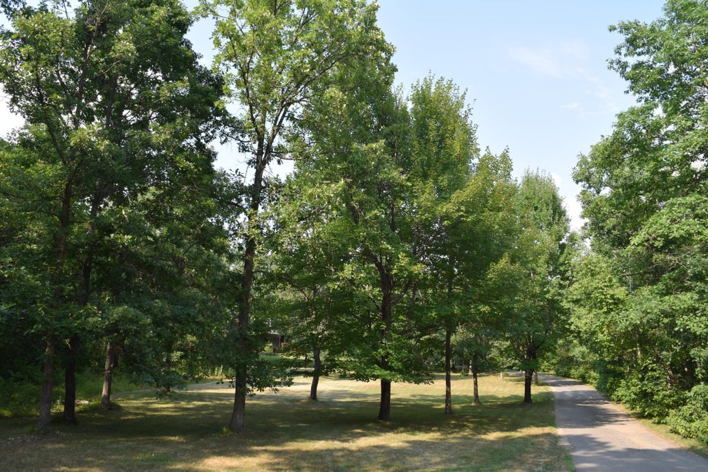 Photo of 940 134th Street SW, Pillager, MN 56473 (MLS # 7118943)