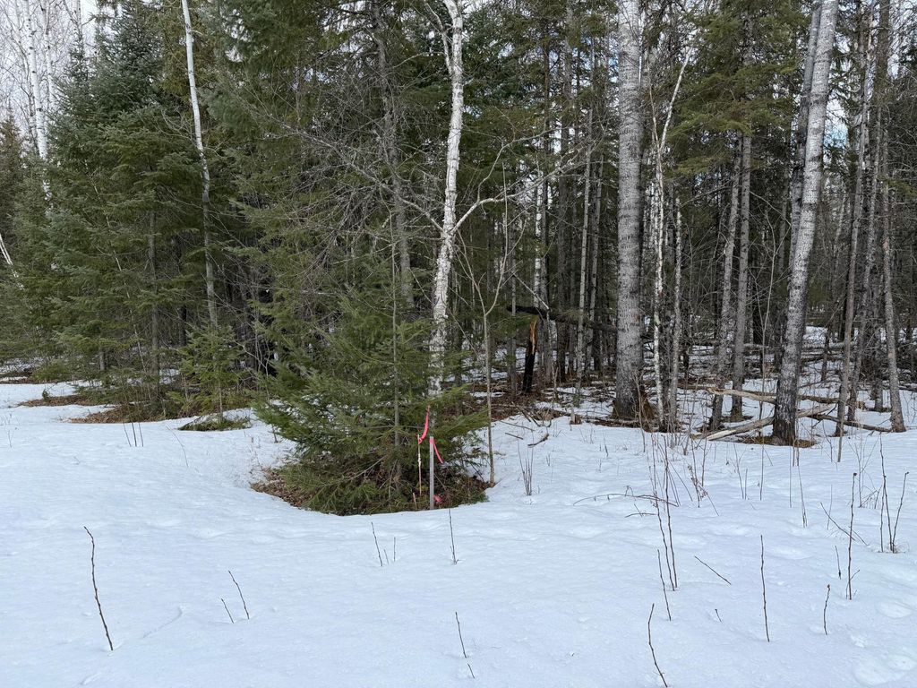 Photo of TBD Town Road 211, International Falls, MN 56649 (MLS # 7044008)