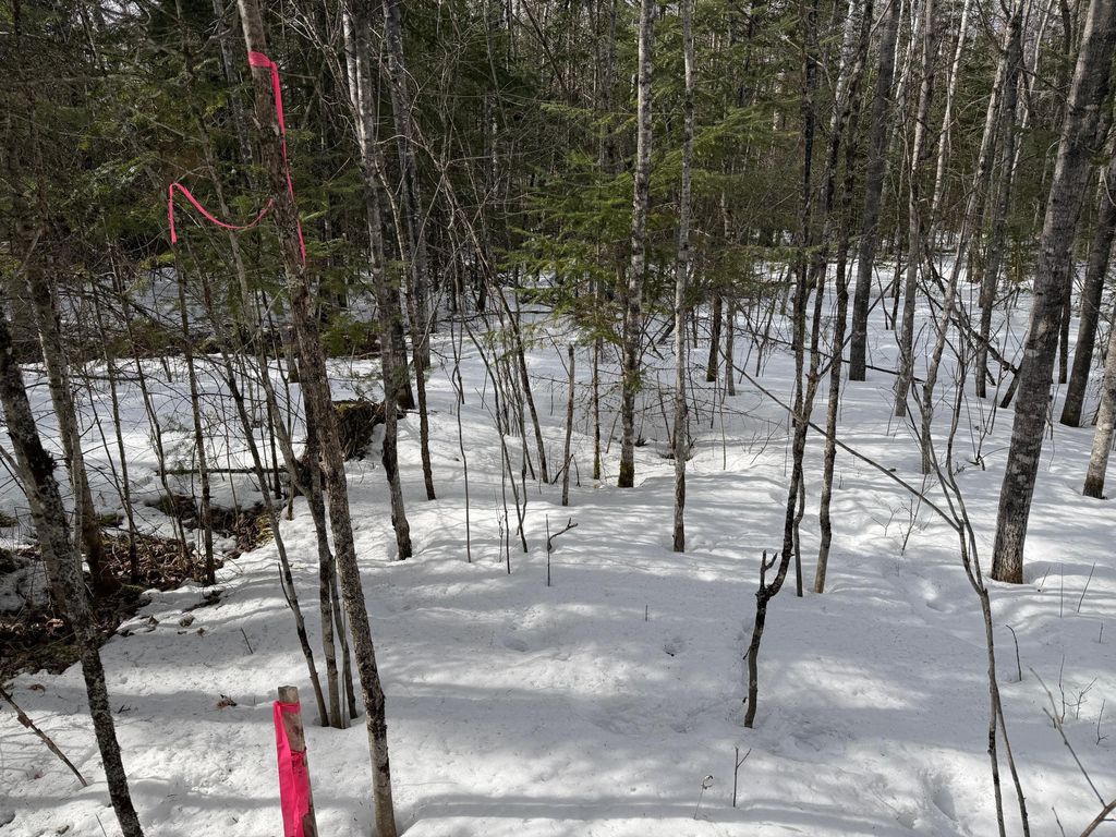 Photo of TBD Town Road 211, International Falls, MN 56649 (MLS # 7044008)