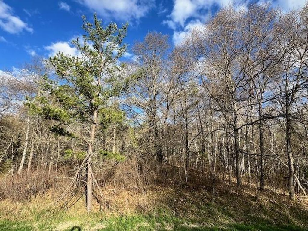 Photo of TBD Mikes Road SW, Bemidji, MN 56601 (MLS # 7026109)