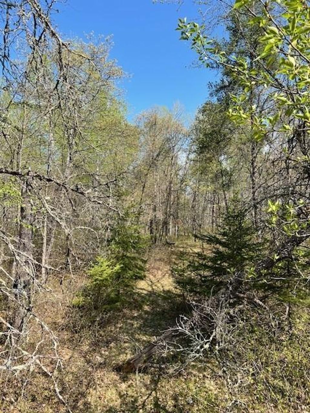 Photo of TBD Mikes Road SW, Bemidji, MN 56601 (MLS # 7026109)