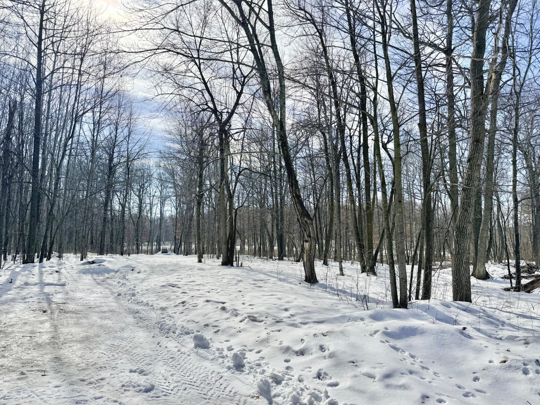 11939 County Road 118