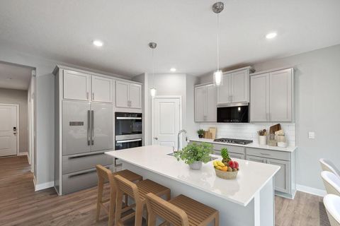 8397 Brumby Trail Woodbury MN 55129