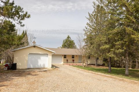 Photo of 39115 E Blueberry Drive, Menahga, MN 56464 (MLS # 7066456)