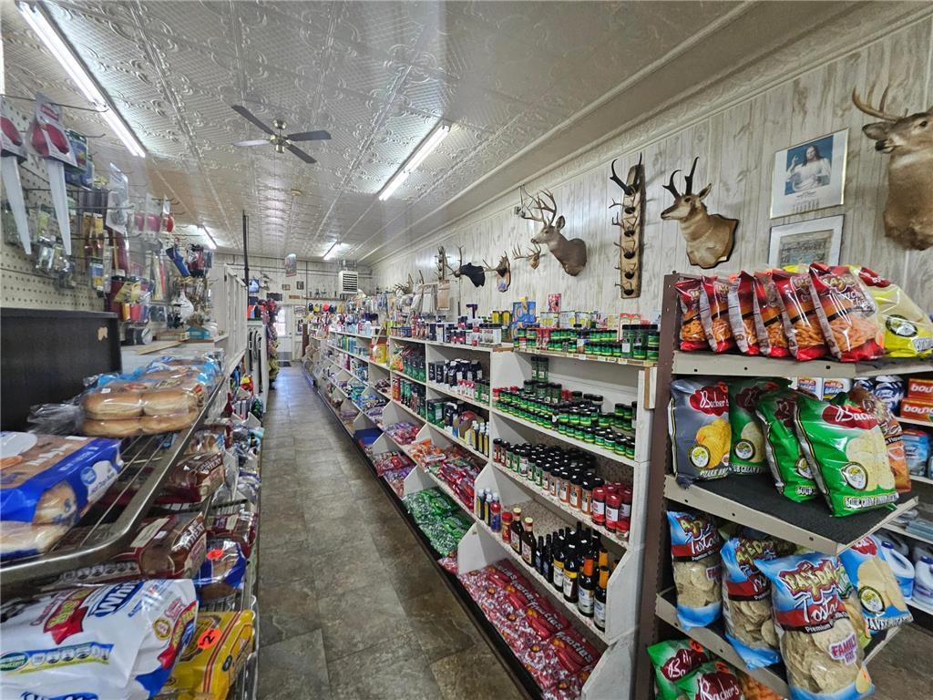 Photo of 153 Main Street, Bowlus, MN 56314 (MLS # 7149144)