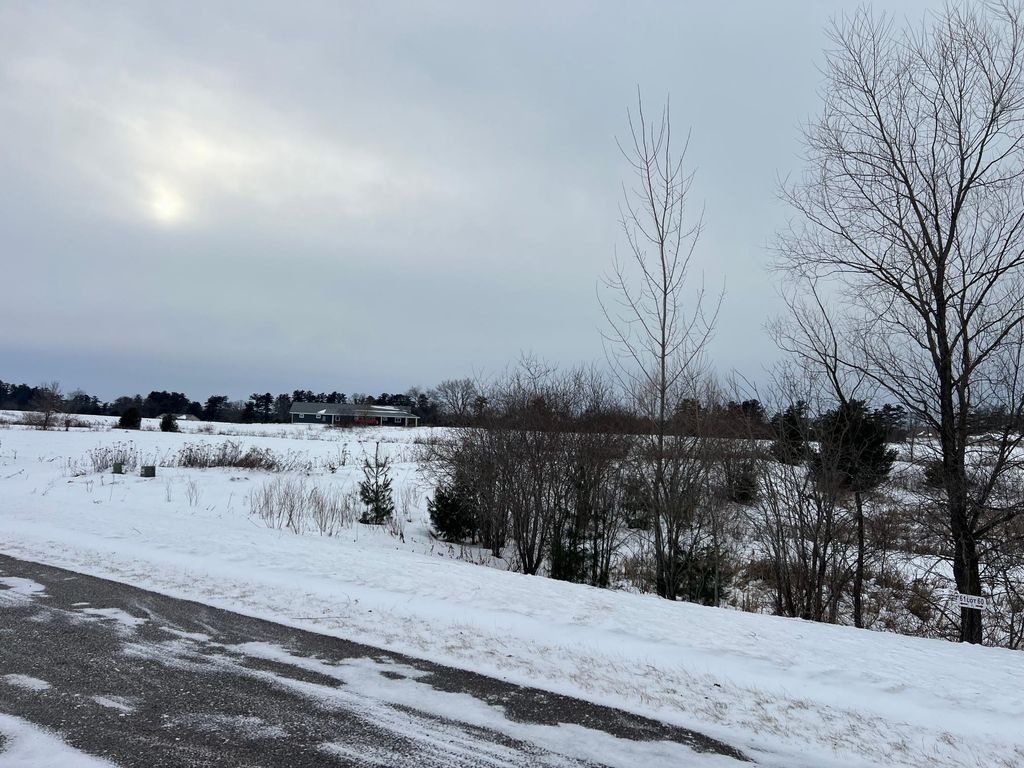 Photo of Lot 61 21 1/4 Street, Rice Lake, WI 54868 (MLS # 7002341)