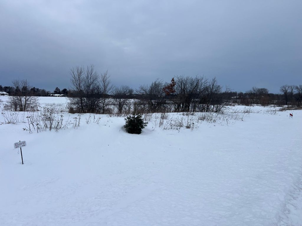 Photo of Lot 61 21 1/4 Street, Rice Lake, WI 54868 (MLS # 7002341)