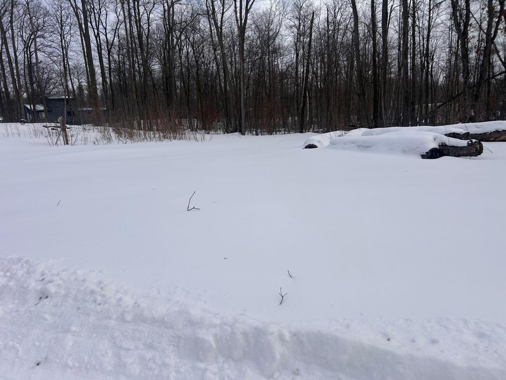 Photo of 27536 Norway Trail, Randall, MN 56475 (MLS # 7017484)