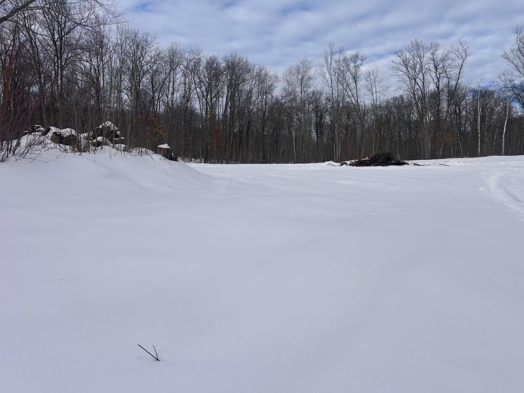 Photo of 27536 Norway Trail, Randall, MN 56475 (MLS # 7017484)