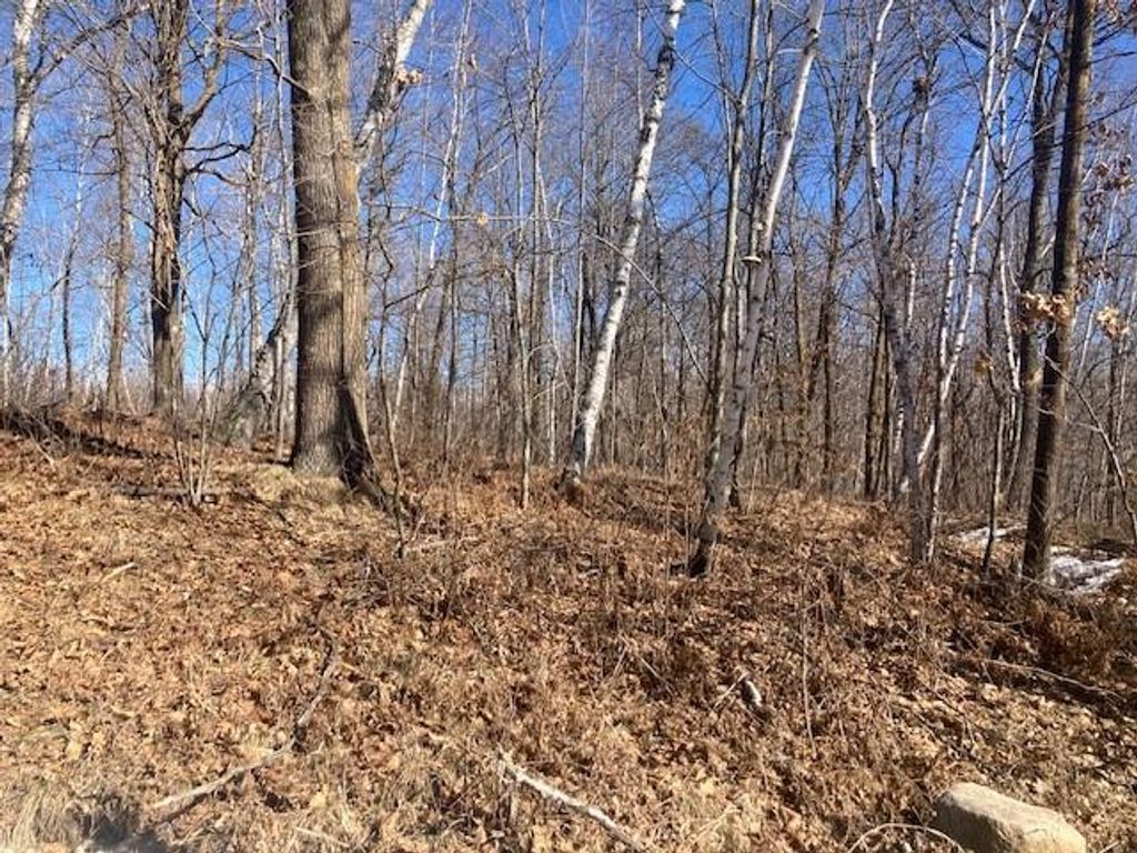Photo of TBD Sherwood Drive SW, Motley, MN 56466 (MLS # 7072457)
