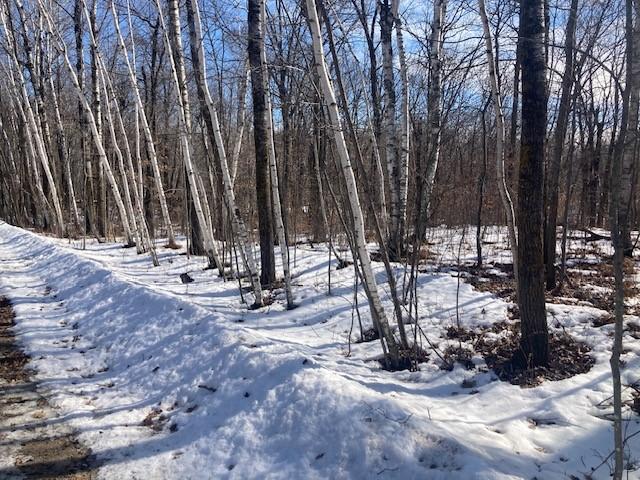 TBD Sherwood Drive SW
