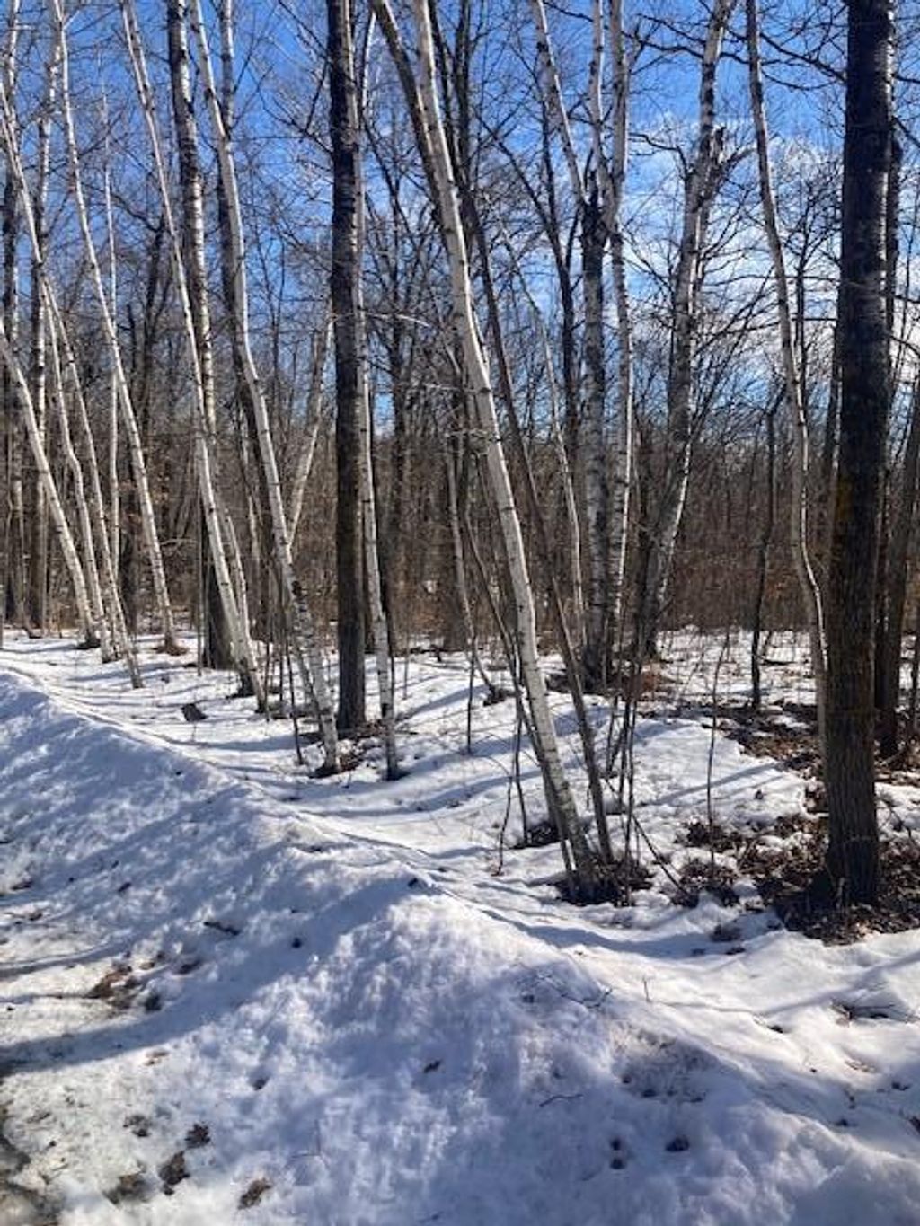 Photo of TBD Sherwood Drive SW, Motley, MN 56466 (MLS # 7072457)
