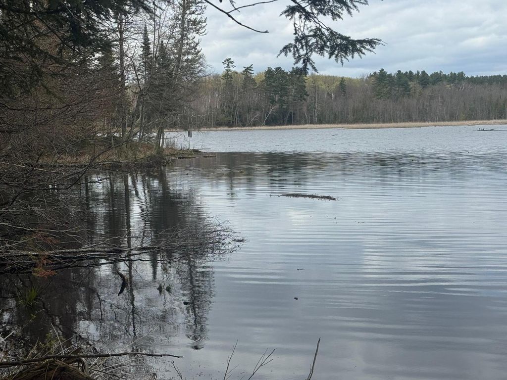 Photo of TBD1.6 CRANE LN, Hayward, WI 54843 (MLS # 7068547)