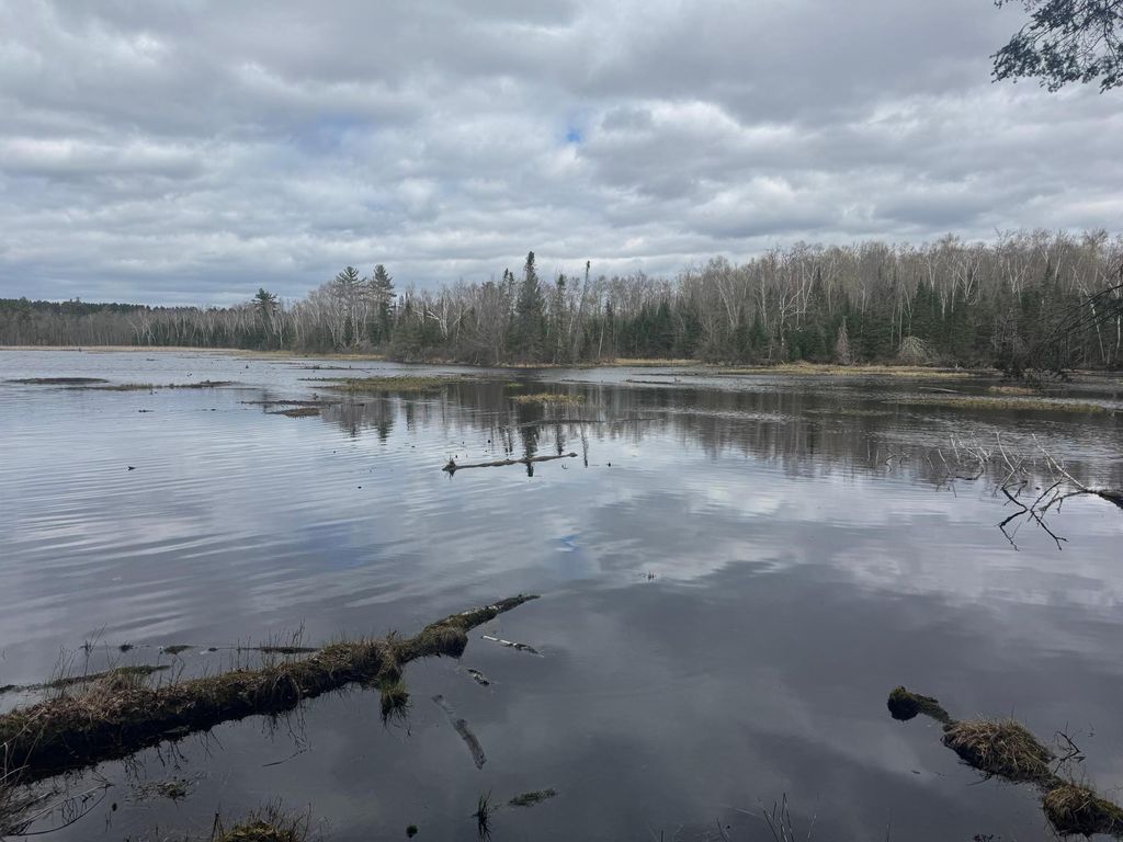 Photo of TBD1.6 CRANE LN, Hayward, WI 54843 (MLS # 7068547)
