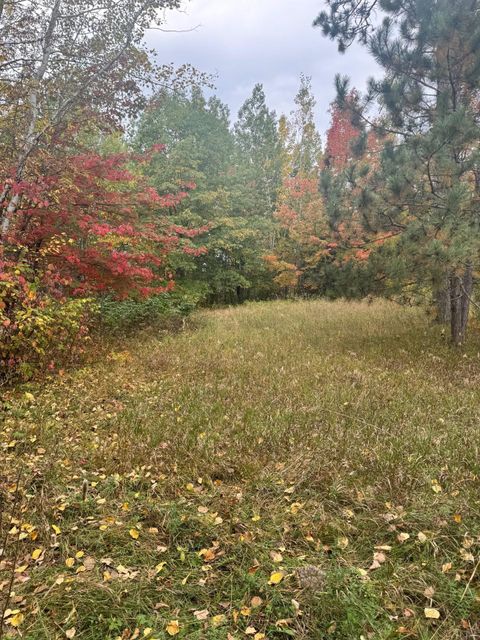 TBD Pond View Lane NW Walker MN 56484