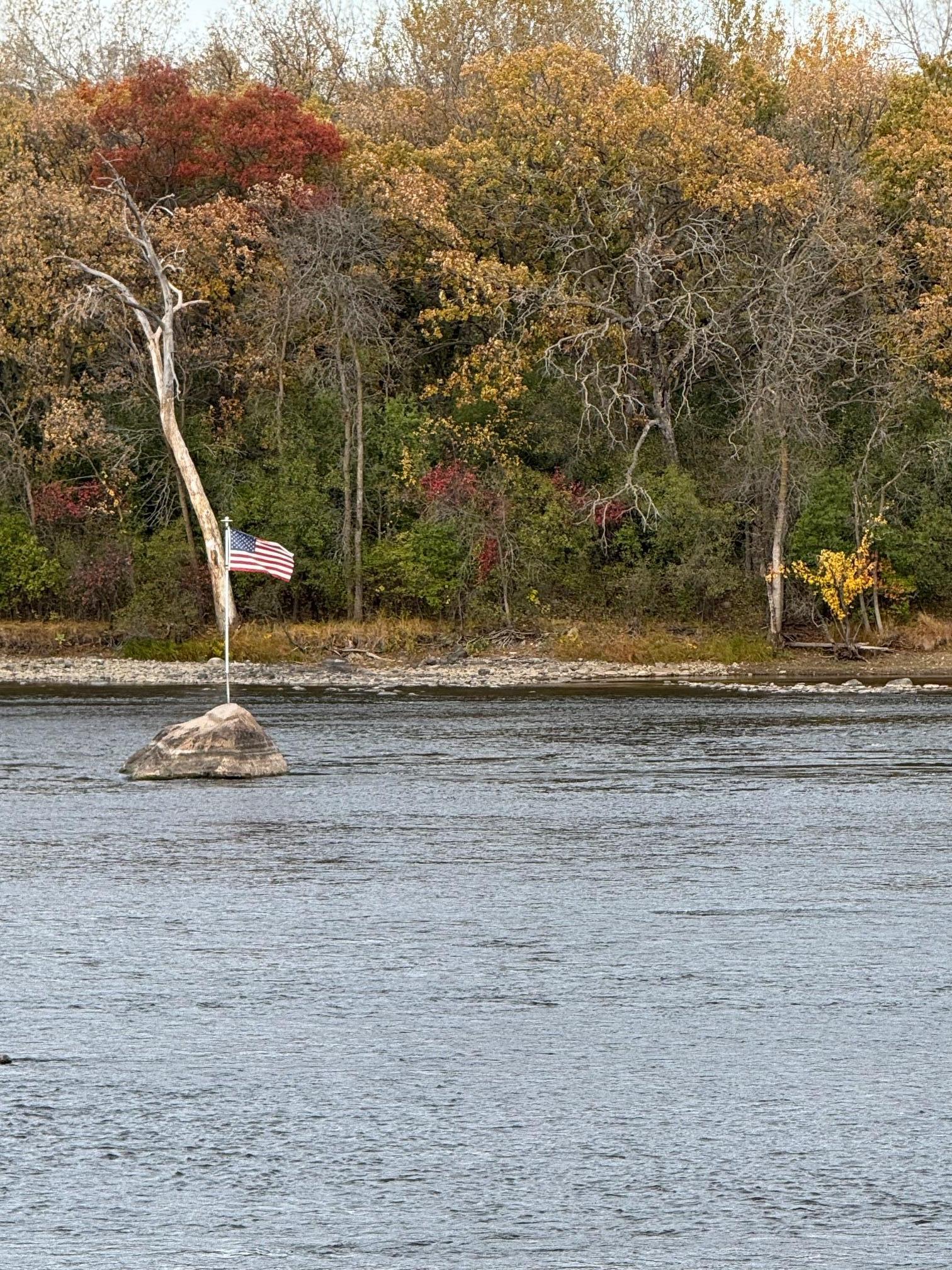 348 Riverside Avenue S