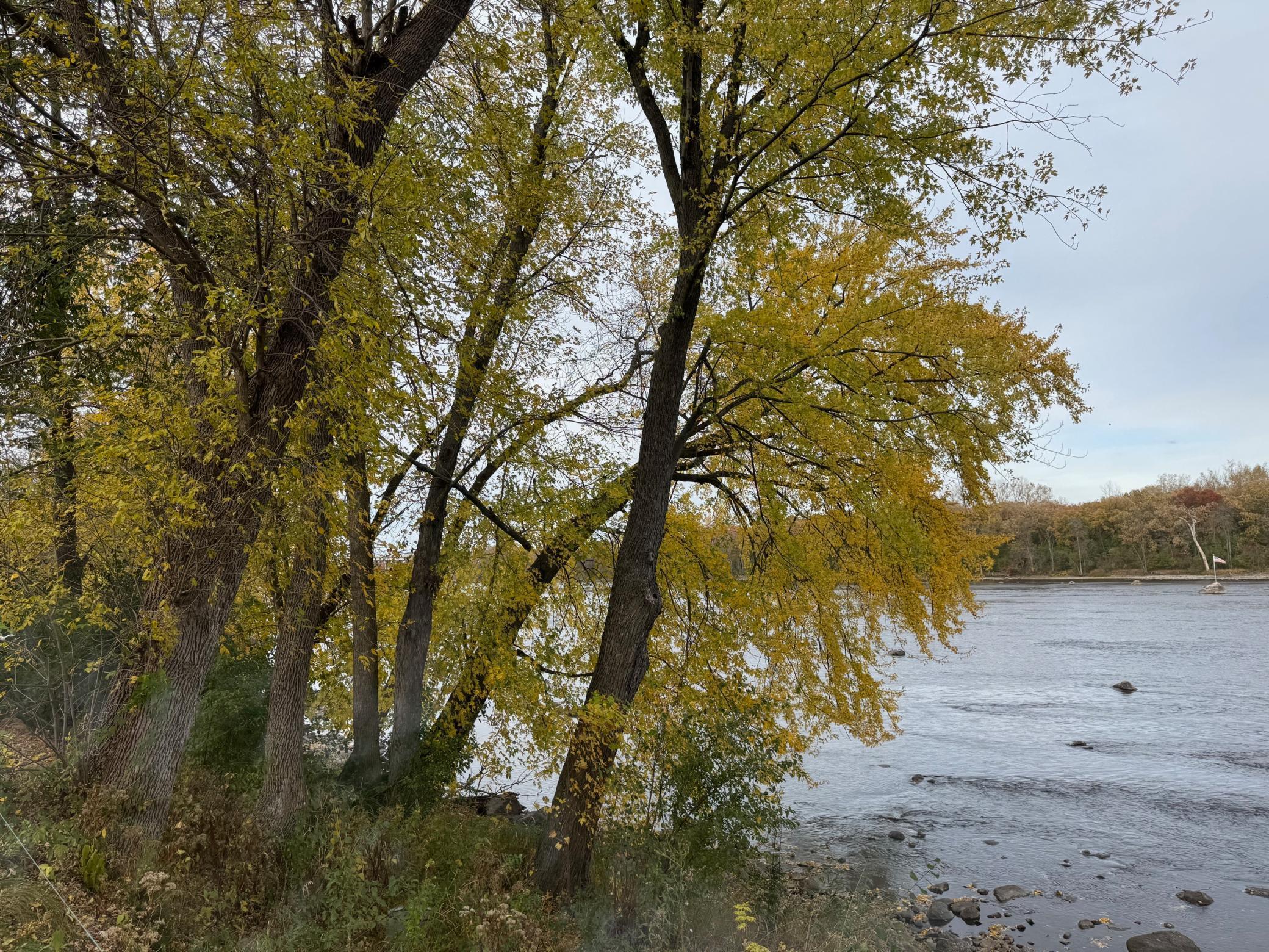 348 Riverside Avenue S