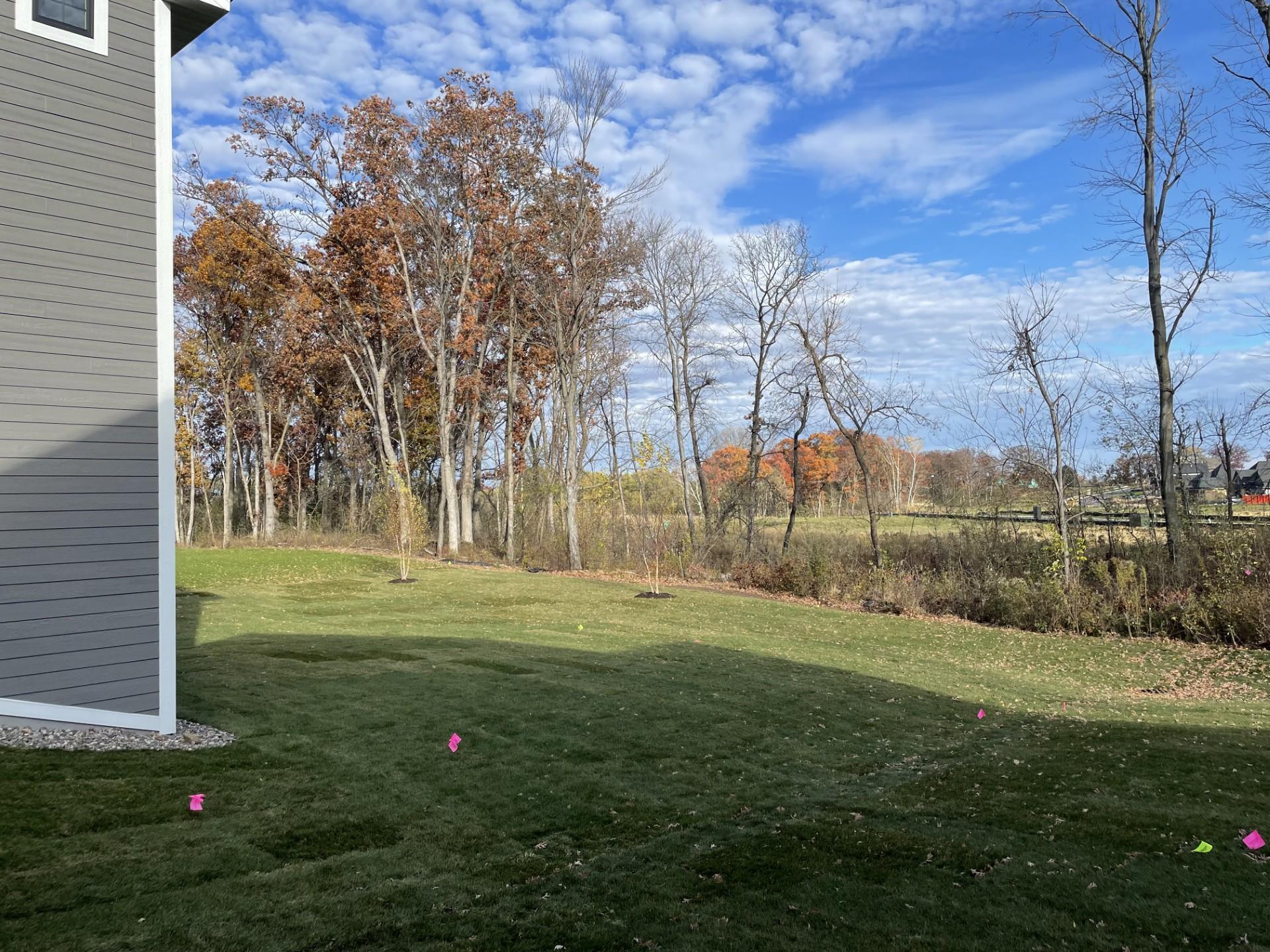 1955 Royal Boulevard N