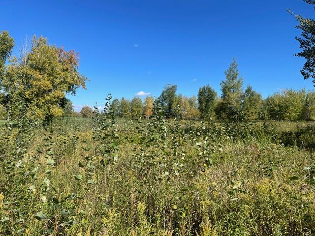 TBD 471st LN