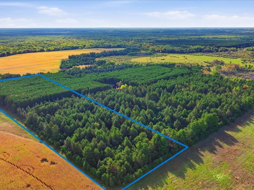 Photo of Parcel 2 (10 Acres) 255th Avenue, Staples, MN 56479 (MLS # 7164734)