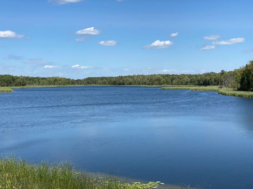 Photo of 49954 209th Avenue, Clearbrook, MN 56634 (MLS # 6826641)