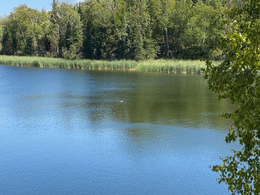 Photo of 49954 209th Avenue, Clearbrook, MN 56634 (MLS # 6826641)