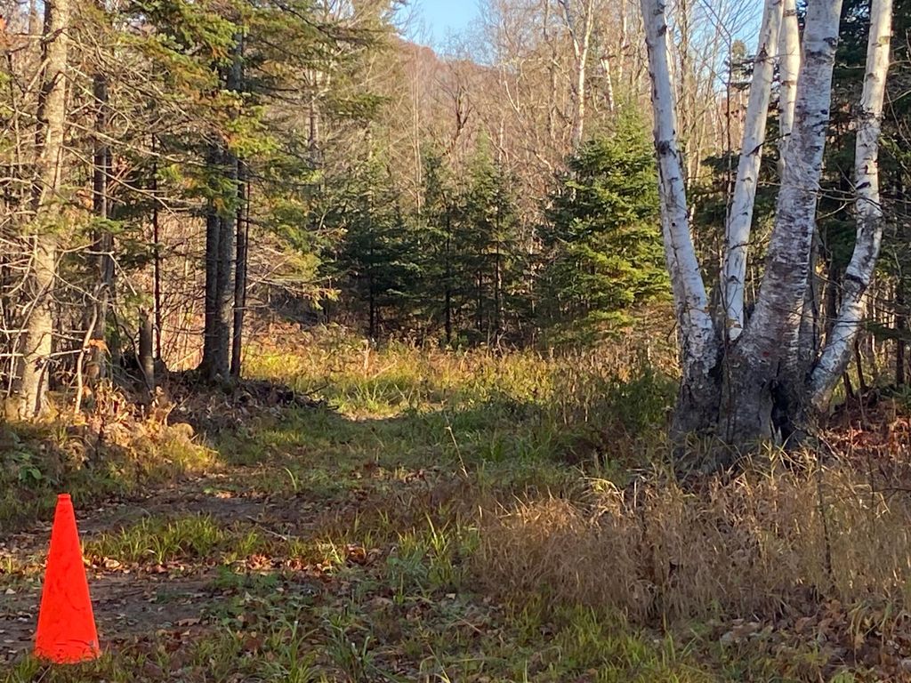 Photo of 5121 Mount Rockwood Road, Beaver Bay Twp, MN 55614 (MLS # 7078949)