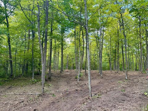 TBD County Road 157 NE Remer MN 56672