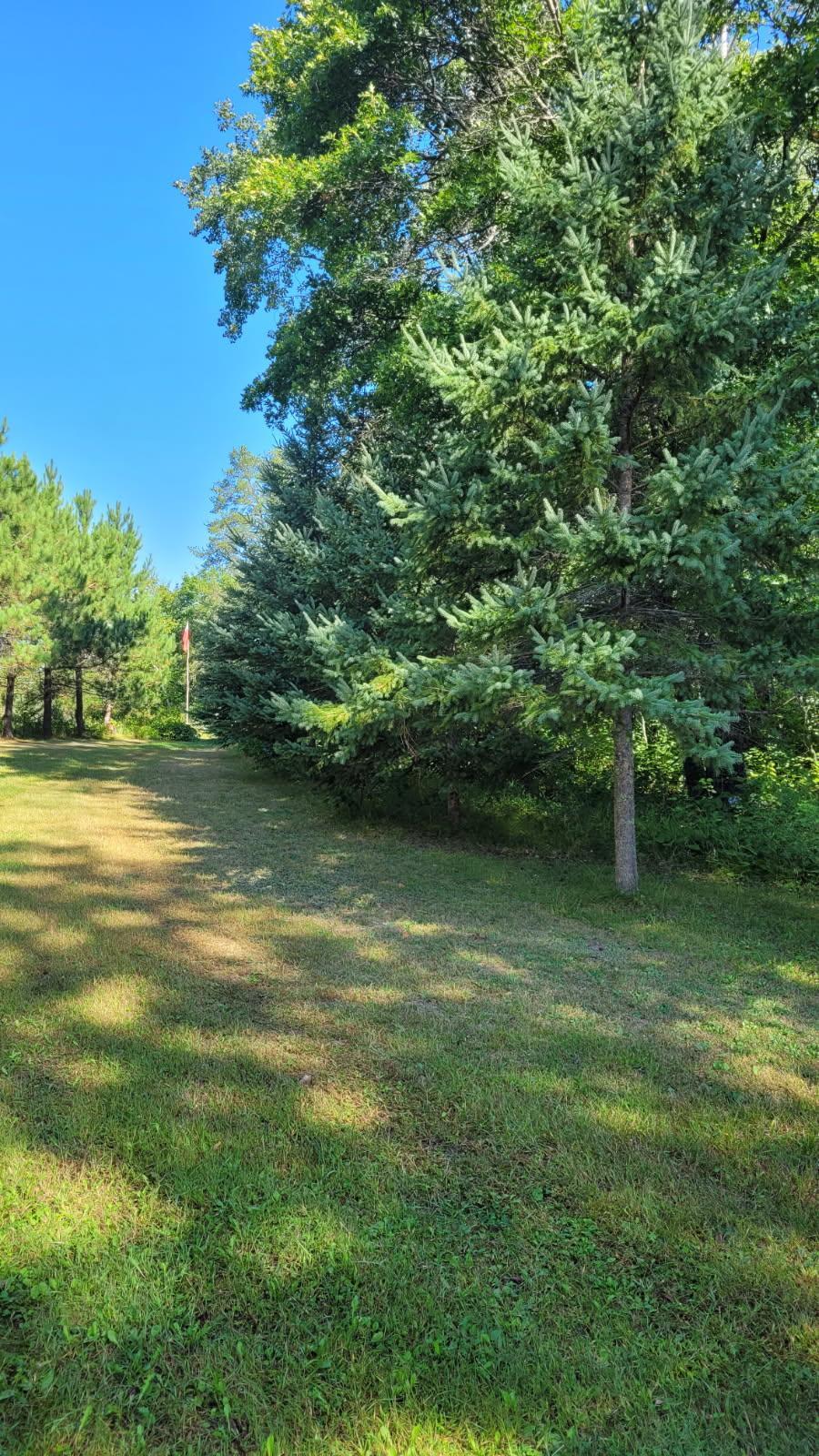 1393 Cottonwood Trail SW