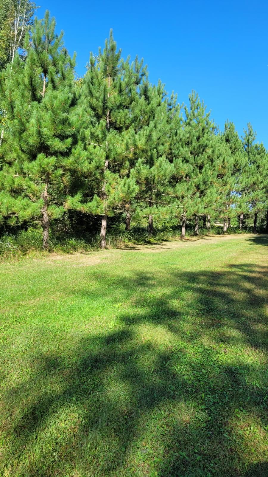 1393 Cottonwood Trail SW