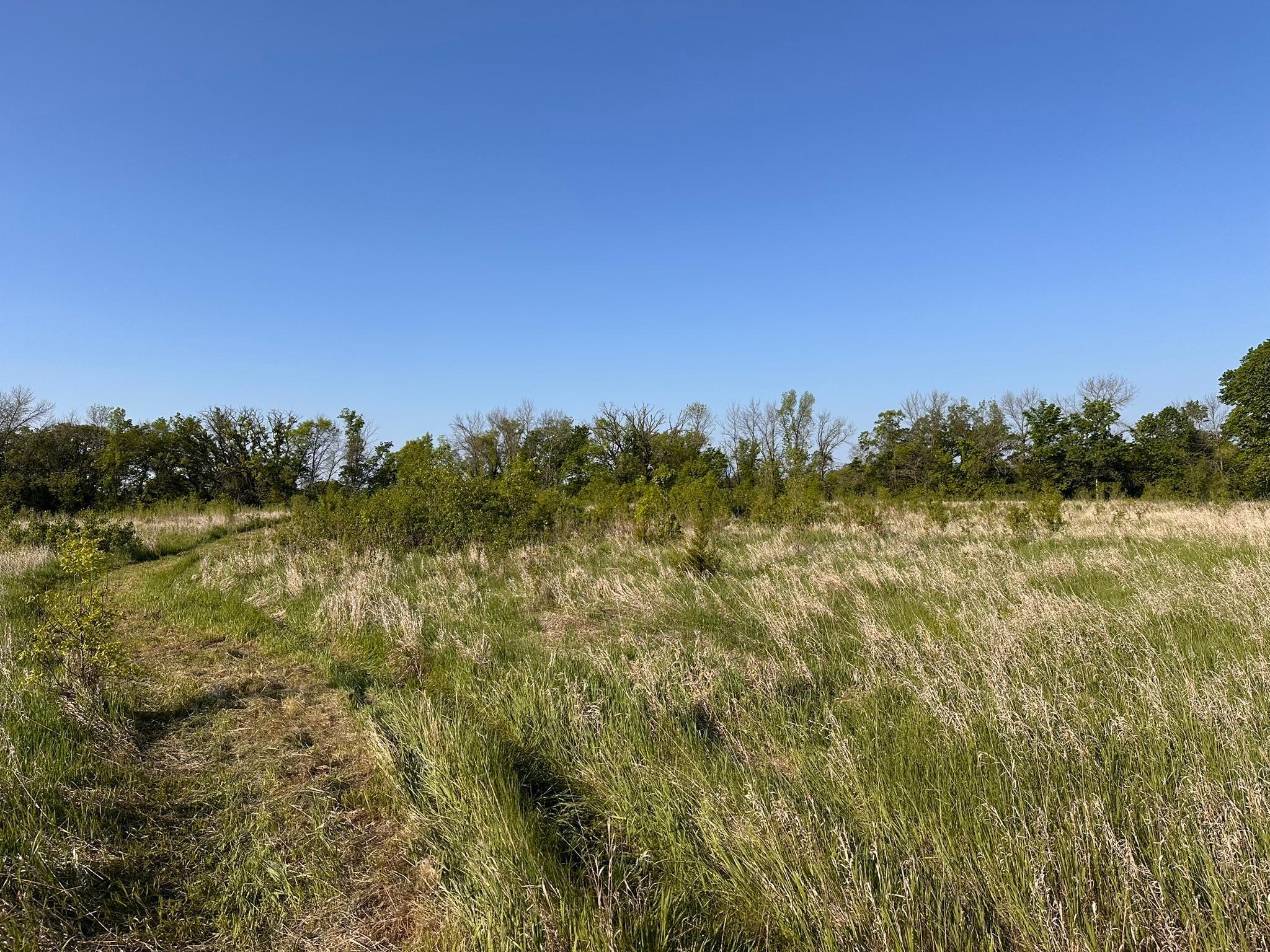 997 152nd (lot 69) Avenue