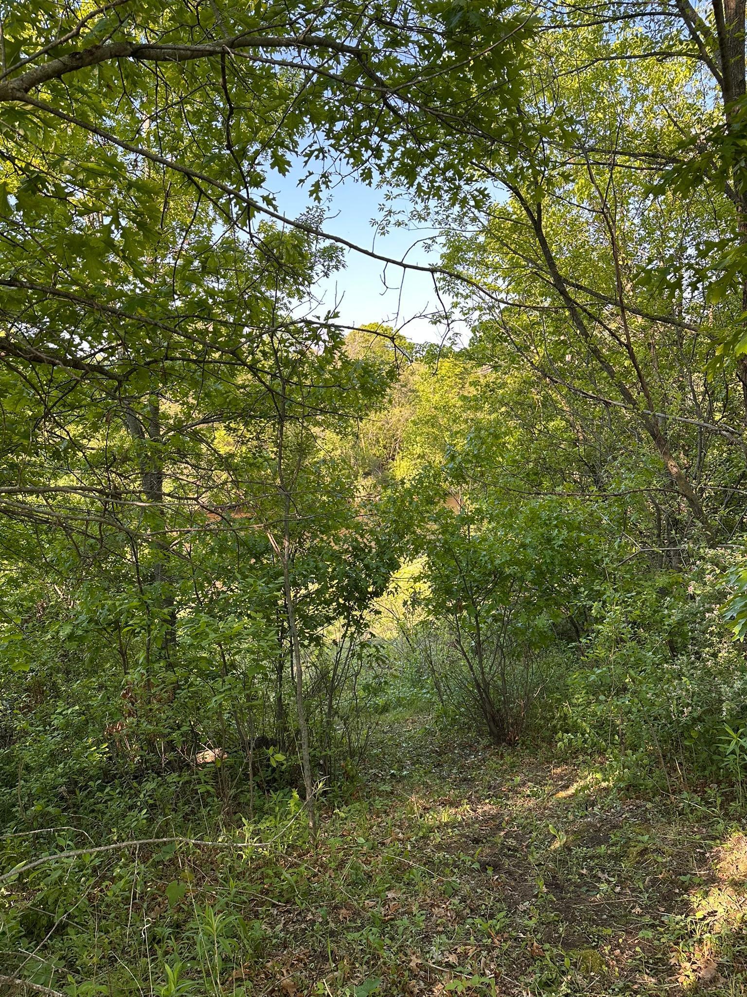 997 152nd (lot 69) Avenue