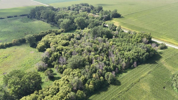 81581 275TH ST, HOLLANDALE, MN 56045 - Image e5a31f60a11e2f50dd7b2c2ee92f2a4f/437121796