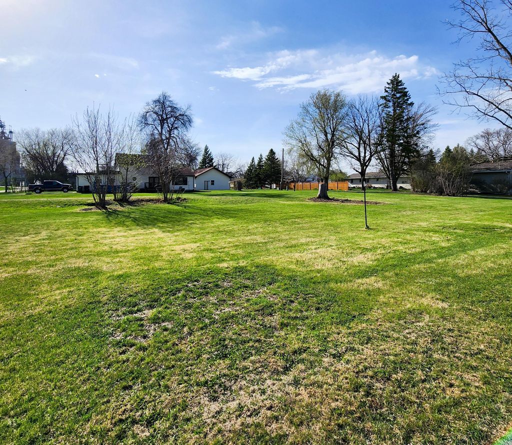 Photo of 602 E Willow Avenue, Olivia, MN 56277 (MLS # 7058084)