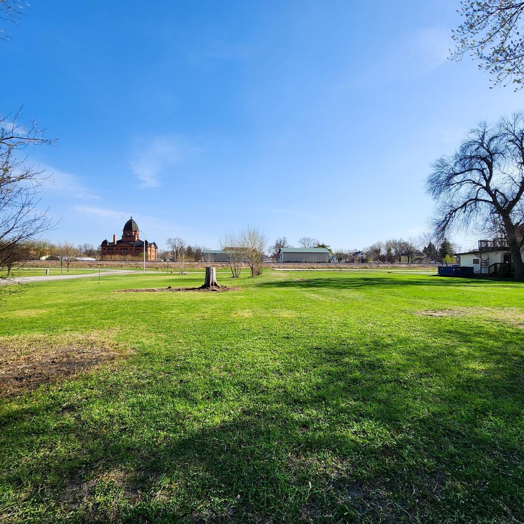 Photo of 602 E Willow Avenue, Olivia, MN 56277 (MLS # 7058084)