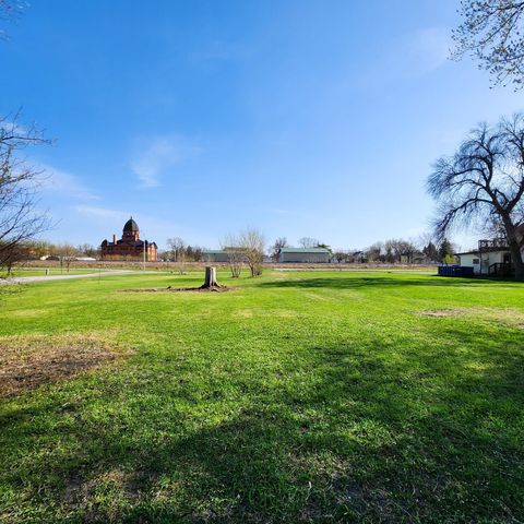 Photo of 602 E Willow Avenue, Olivia, MN 56277 (MLS # 7058084)