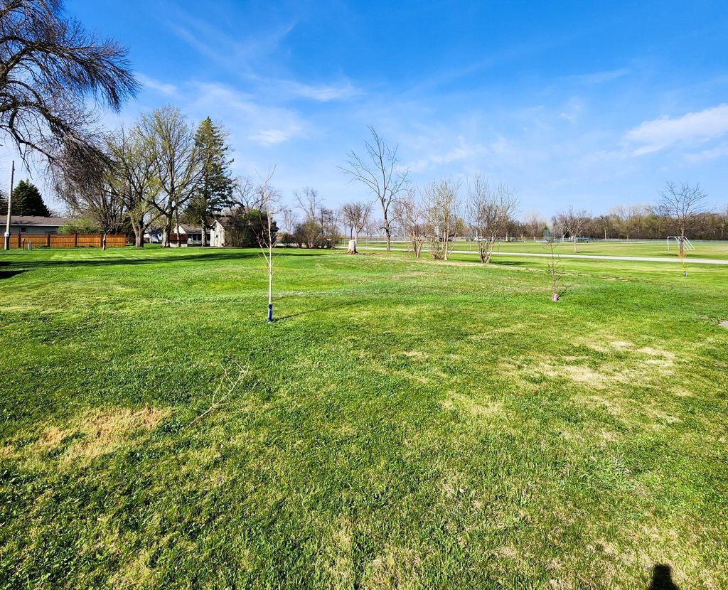 Photo of 602 E Willow Avenue, Olivia, MN 56277 (MLS # 7058084)