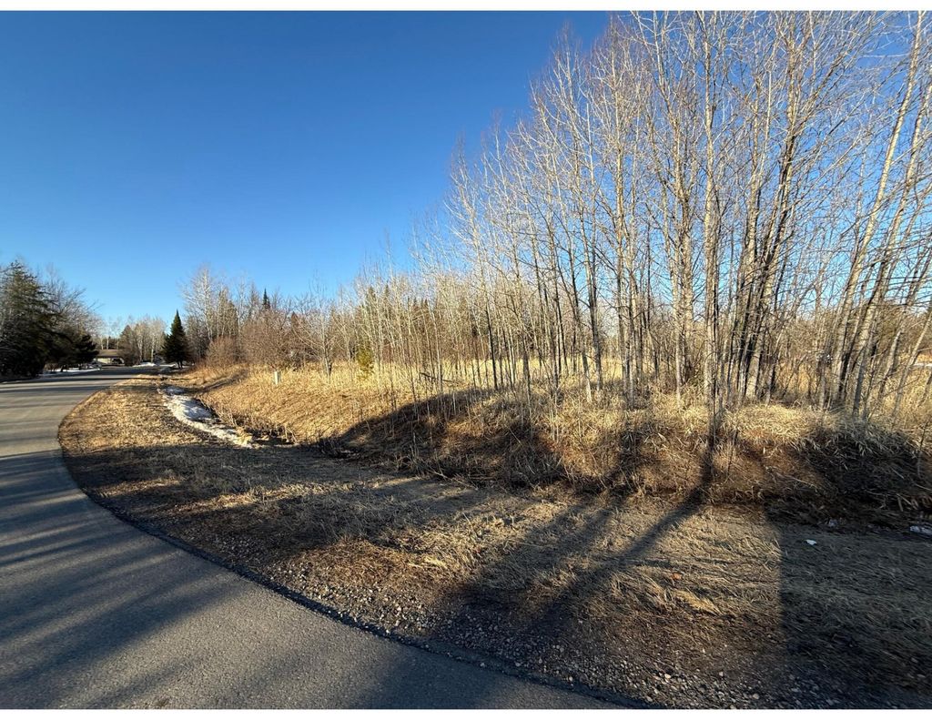 Photo of TBD Holland Drive, Hoyt Lakes, MN 55705 (MLS # 7044349)