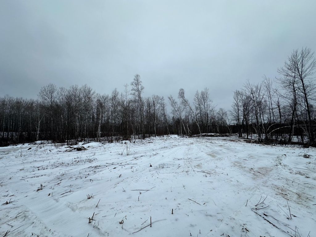 Photo of TBD #3 Koecher Road, Kerrick Twp, MN 55756 (MLS # 7002698)