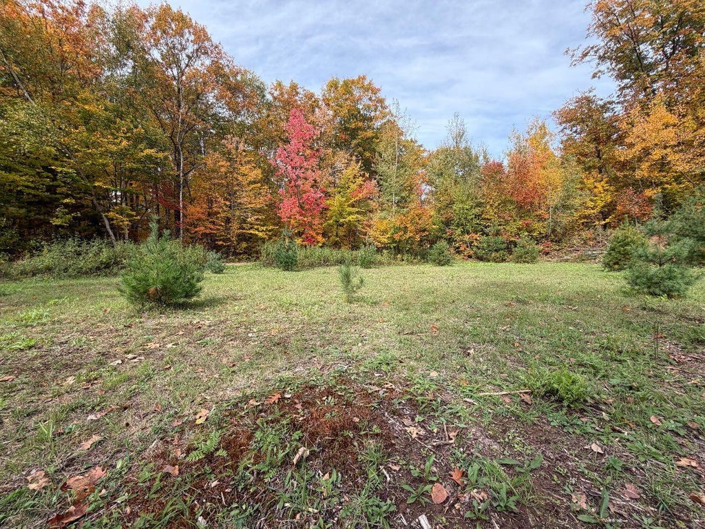 Photo of TBD Estates Range Road, Kerrick, MN 55756 (MLS # 7154498)