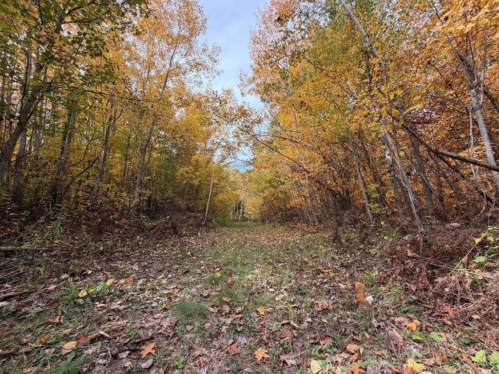 Photo of TBD Estates Range Road, Kerrick, MN 55756 (MLS # 7154498)