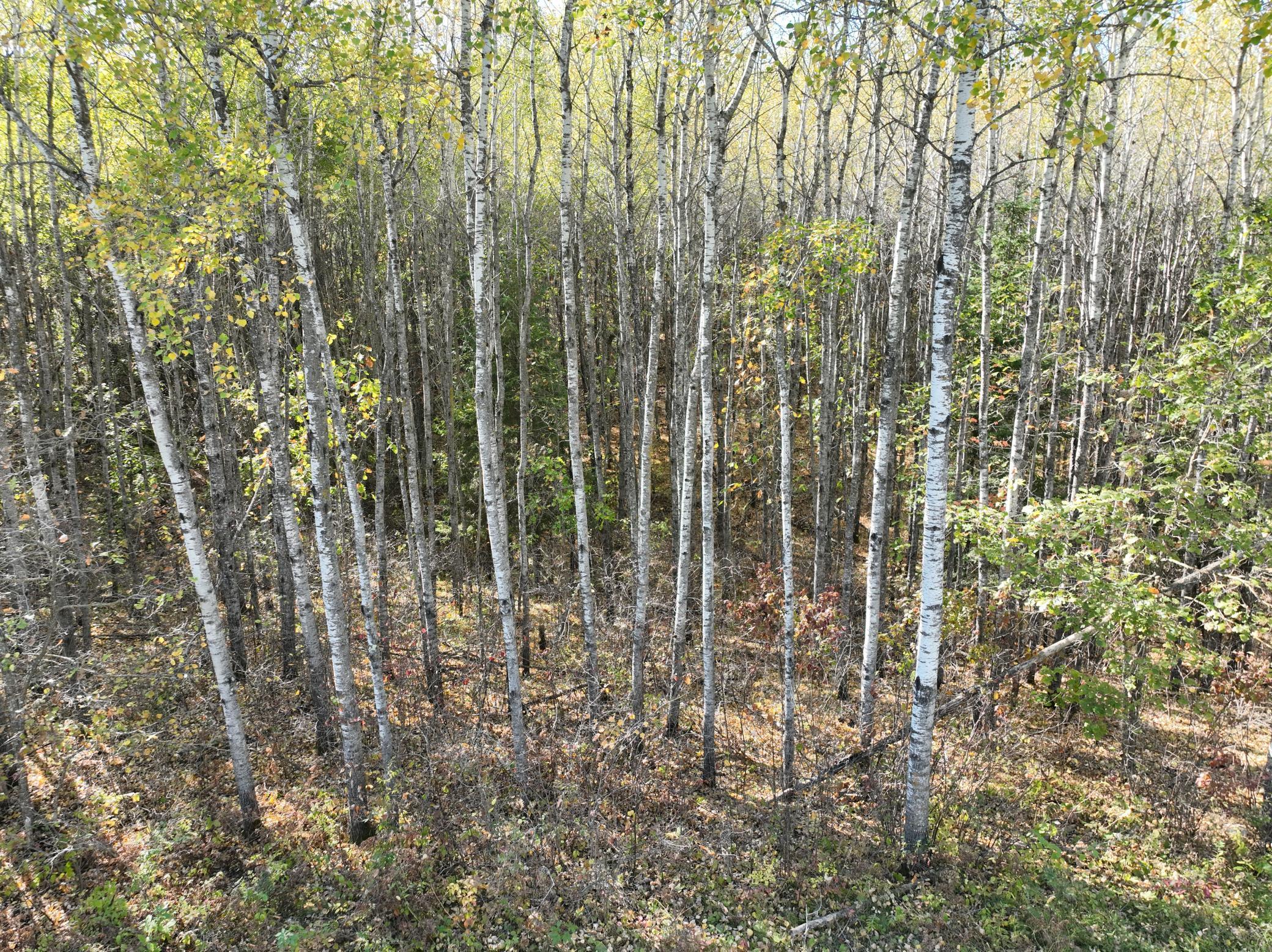 TBD Cedar Crest Loop NW