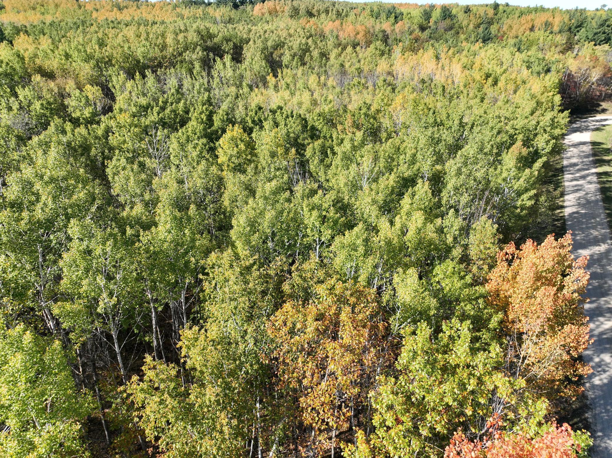 TBD Cedar Crest Loop NW