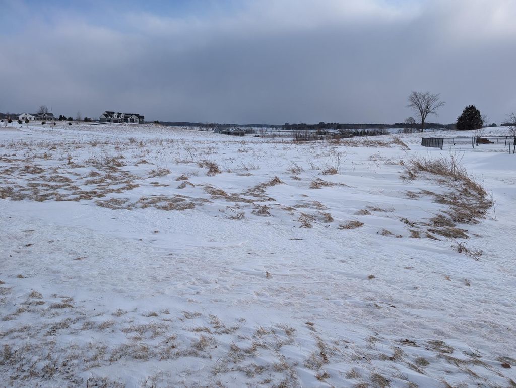 Photo of Lot 69 467th Avenue, Spring Brook Twp, WI 54739 (MLS # 7016871)