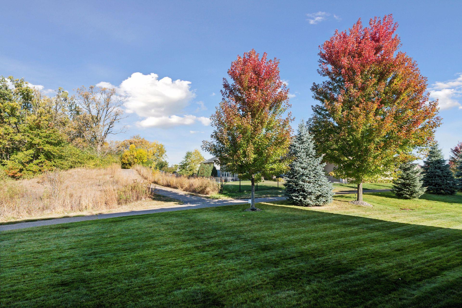 3539 Springwood Path