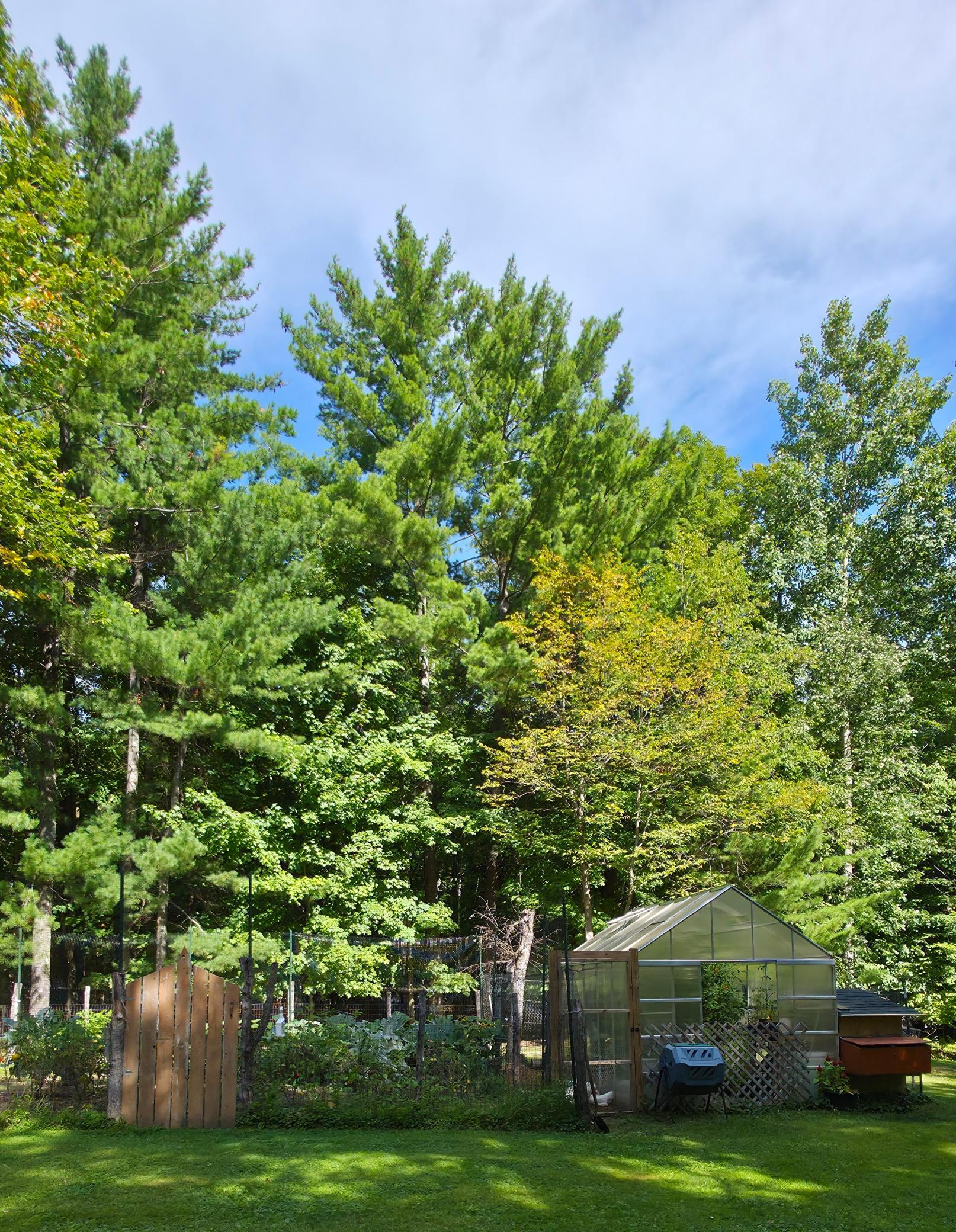 1406 Balsam Lane